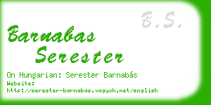 barnabas serester business card